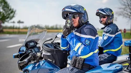 Dans la famille "excès de vitesse", je veux le petit frère 